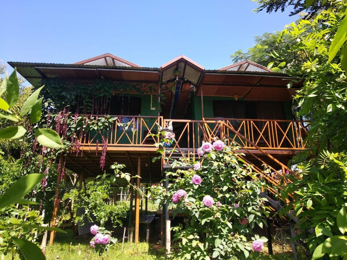 Mist Valley Otel Masinagudi Dış mekan fotoğraf