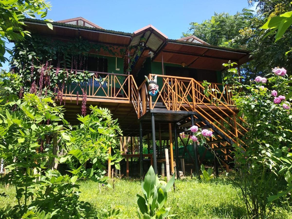 Mist Valley Otel Masinagudi Dış mekan fotoğraf