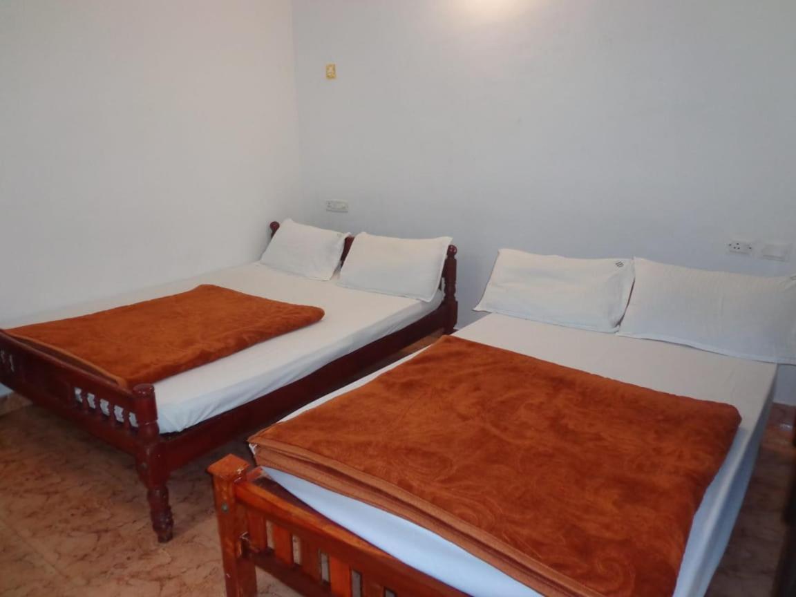 Mist Valley Otel Masinagudi Dış mekan fotoğraf